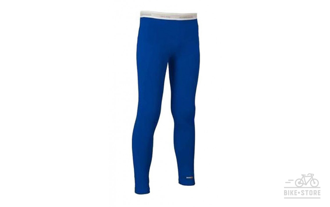 Термобрюкі дитячи Icebreaker BF 260 JN Legging Junior charcoal